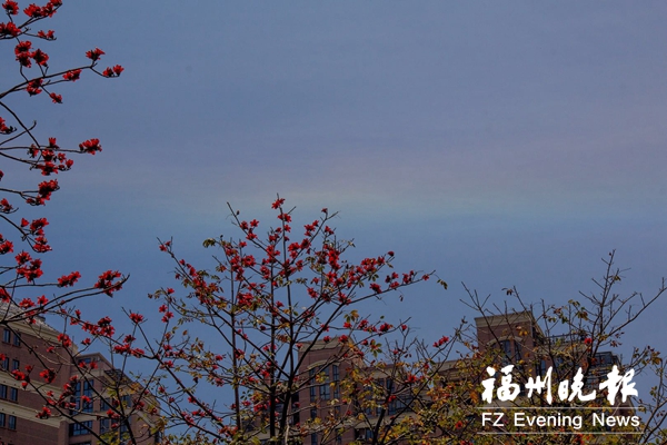 福州天空现“火焰彩虹” 专家:环地平弧较为少见