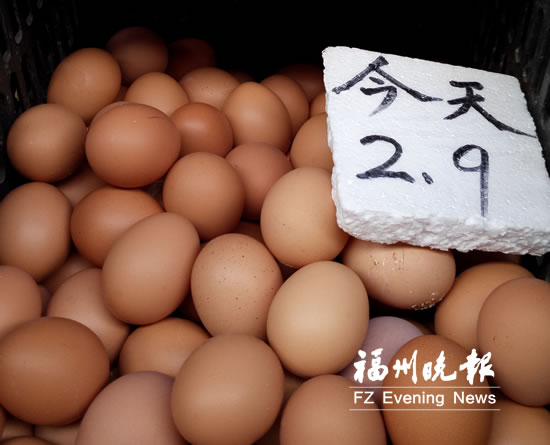 榕鸡蛋零售价普遍低位　红皮鸡蛋跌破3元/500克 